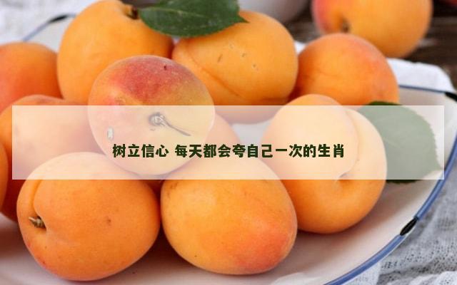 树立信心 每天都会夸自己一次的生肖