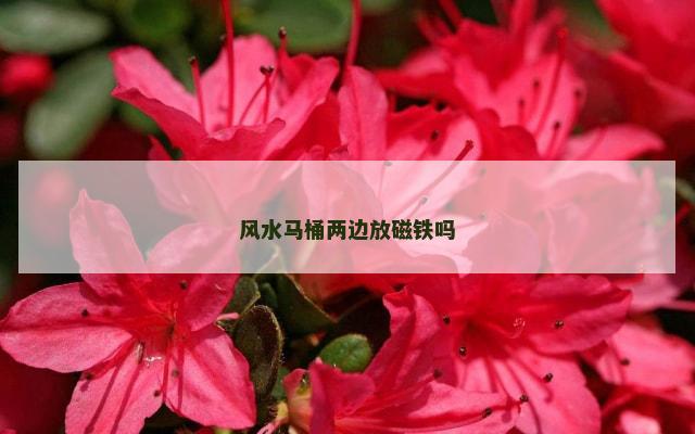 风水马桶两边放磁铁吗