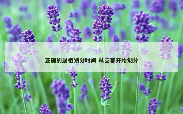 正确的属相划分时间 从立春开始划分