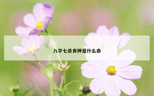 八字七杀食神是什么命