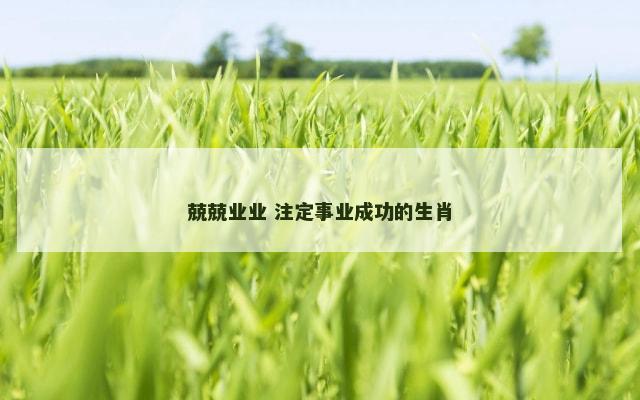 兢兢业业 注定事业成功的生肖