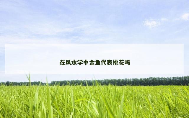 在风水学中金鱼代表桃花吗