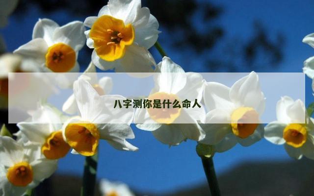八字测你是什么命人