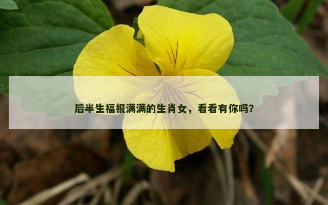 后半生福报满满的生肖女，看看有你吗？
