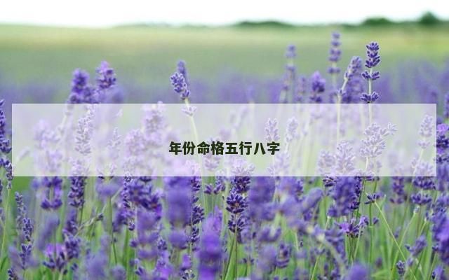 年份命格五行八字