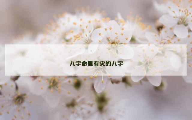八字命里有灾的八字