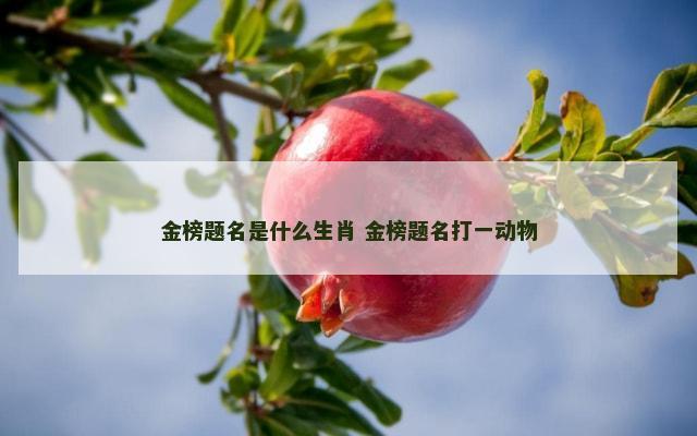 金榜题名是什么生肖 金榜题名打一动物