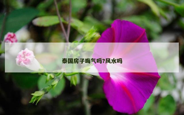 泰国房子晦气吗?风水吗