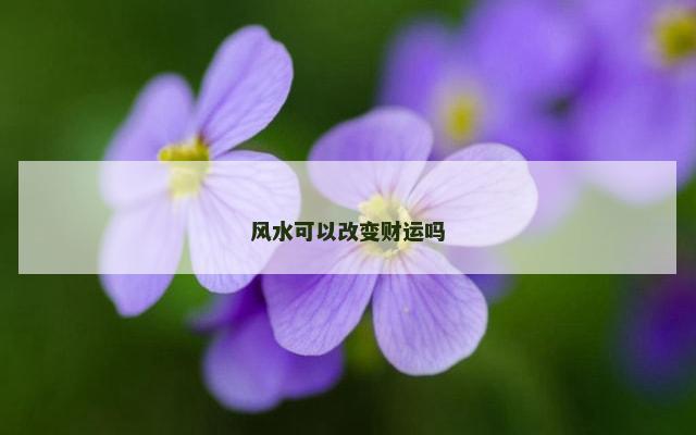 风水可以改变财运吗