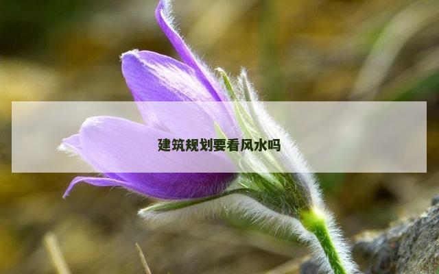 建筑规划要看风水吗