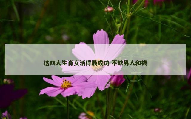 这四大生肖女活得最成功 不缺男人和钱