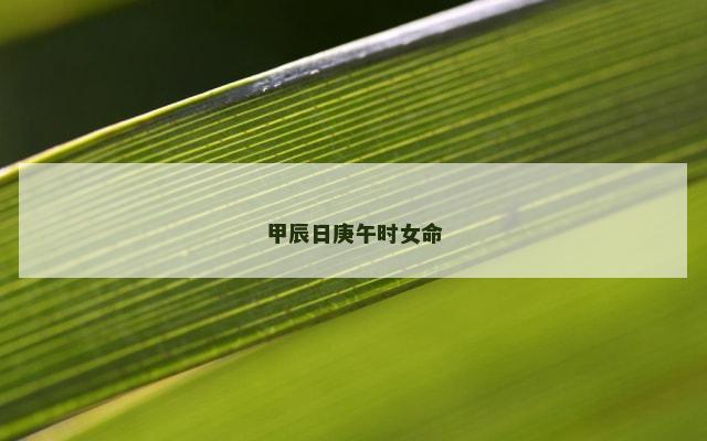 甲辰日庚午时女命