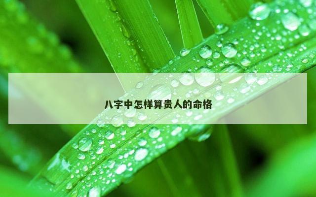 八字中怎样算贵人的命格