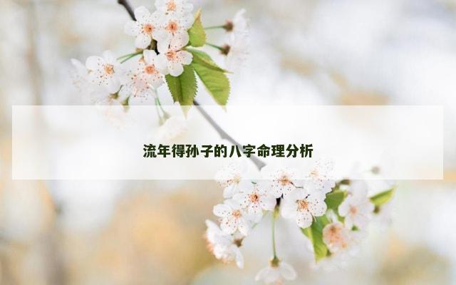 流年得孙子的八字命理分析