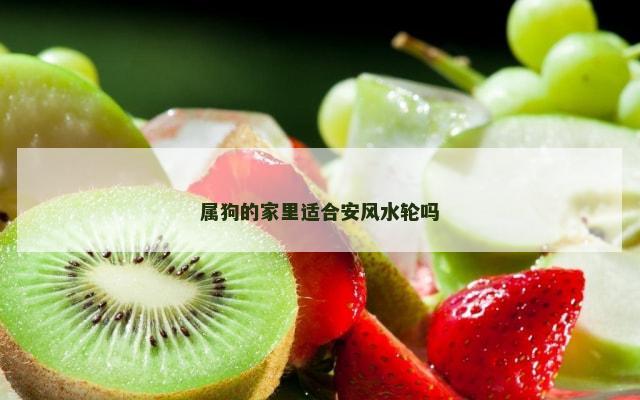 属狗的家里适合安风水轮吗