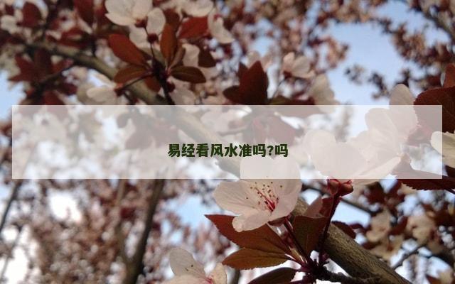 易经看风水准吗?吗
