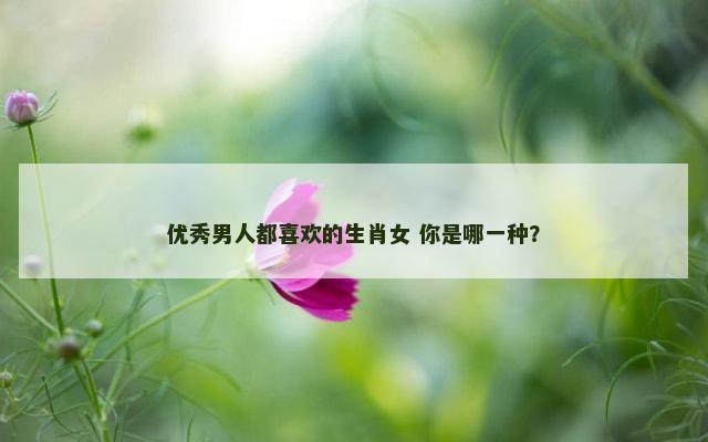 优秀男人都喜欢的生肖女 你是哪一种？