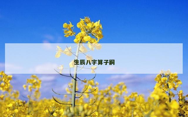 生辰八字算子嗣