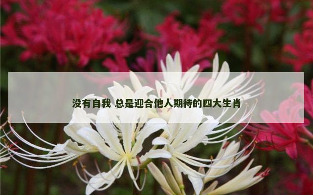 没有自我 总是迎合他人期待的四大生肖