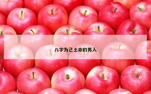八字为己土命的男人