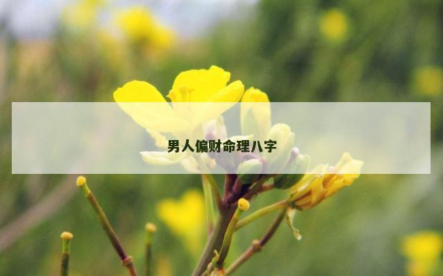 男人偏财命理八字