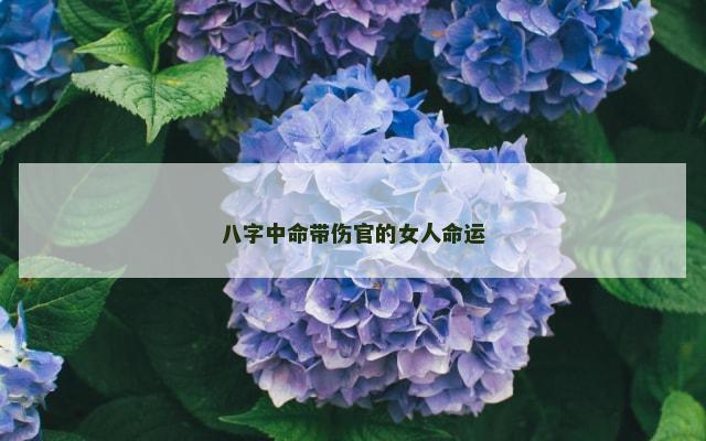 八字中命带伤官的女人命运