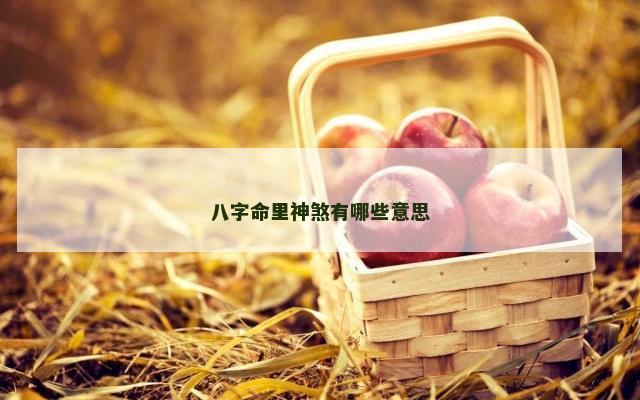 八字命里神煞有哪些意思