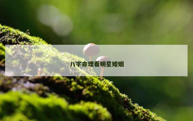 八字命理看明星婚姻