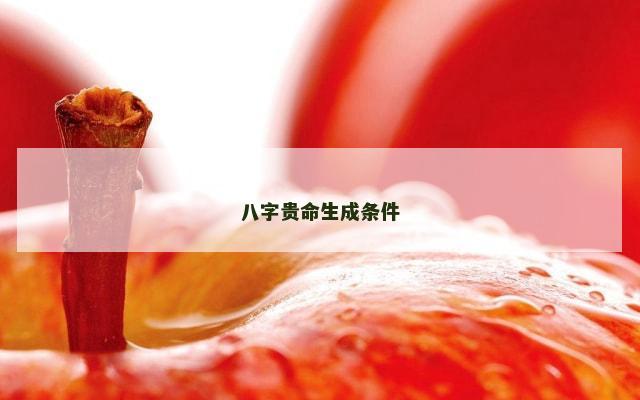 八字贵命生成条件