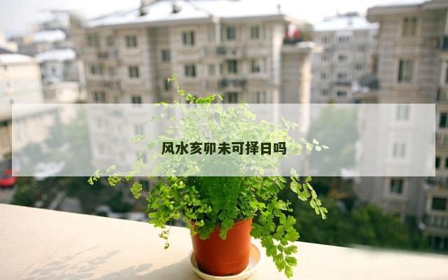 风水亥卯未可择日吗