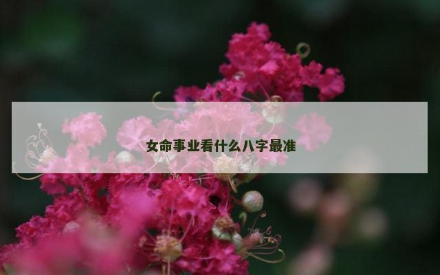 女命事业看什么八字最准
