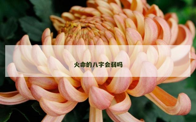 火命的八字会弱吗