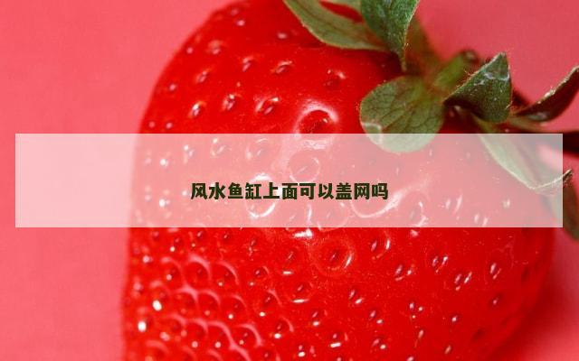风水鱼缸上面可以盖网吗