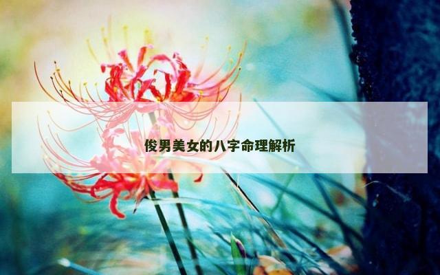 俊男美女的八字命理解析