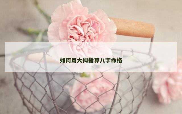 如何用大拇指算八字命格