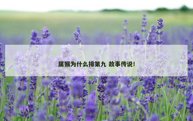 属猴为什么排第九 故事传说！