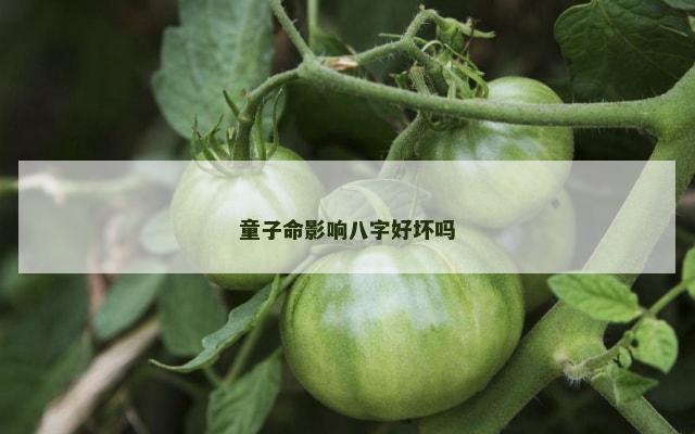 童子命影响八字好坏吗