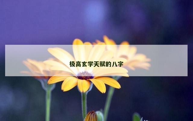 极高玄学天赋的八字