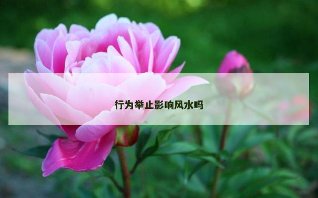 行为举止影响风水吗