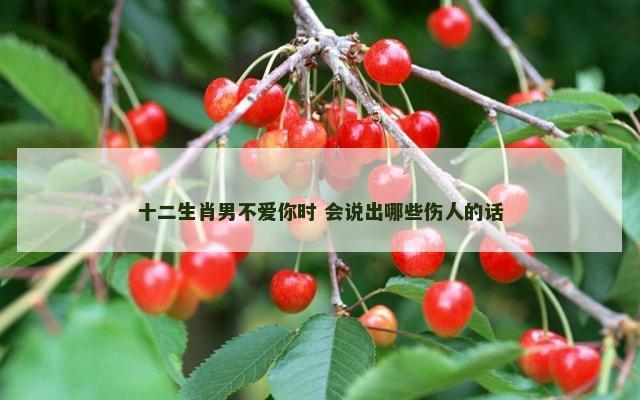 十二生肖男不爱你时 会说出哪些伤人的话