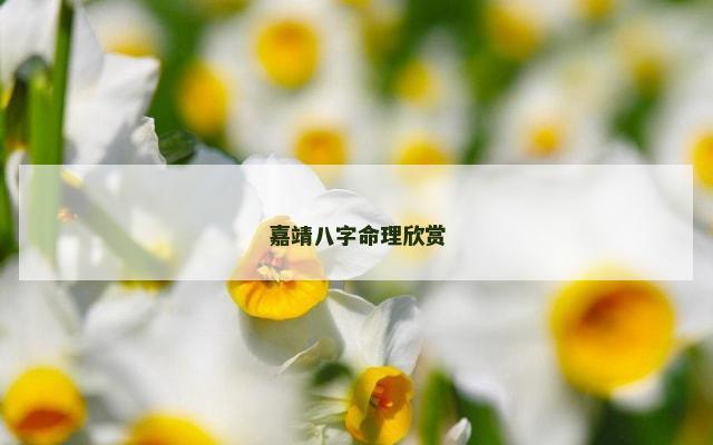 嘉靖八字命理欣赏