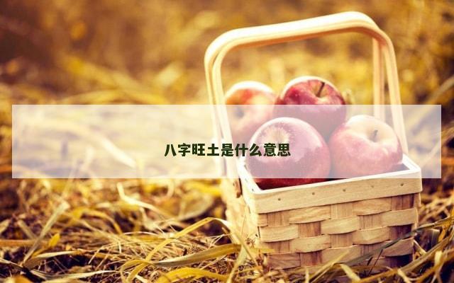 八字旺土是什么意思