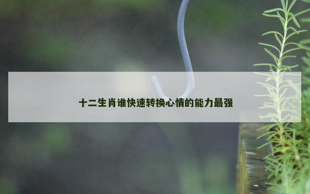 十二生肖谁快速转换心情的能力最强