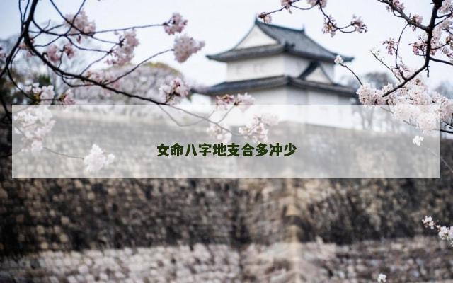 女命八字地支合多冲少