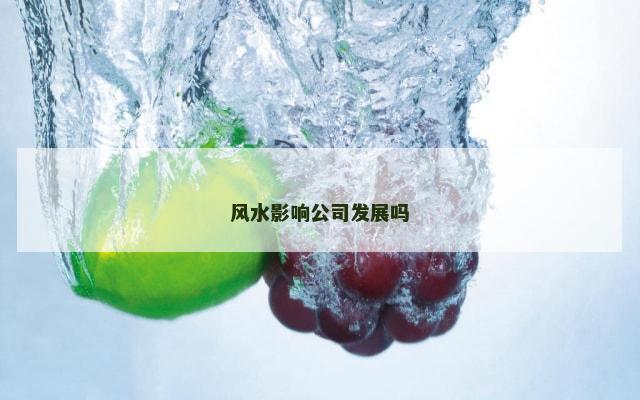 风水影响公司发展吗