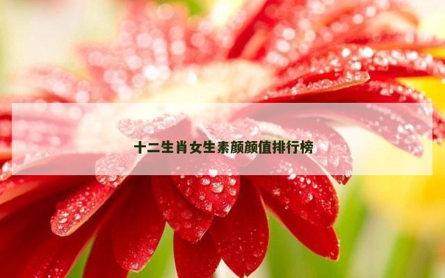 十二生肖女生素颜颜值排行榜
