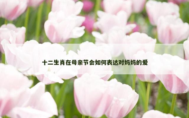 十二生肖在母亲节会如何表达对妈妈的爱