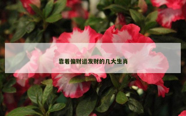靠着偏财运发财的几大生肖