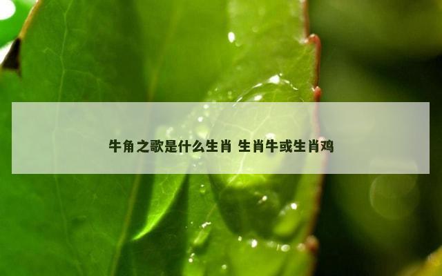 牛角之歌是什么生肖 生肖牛或生肖鸡