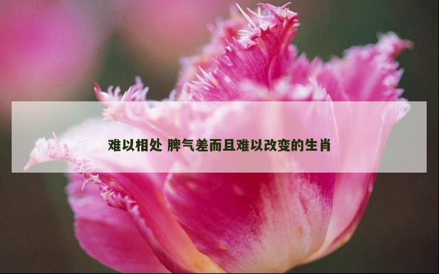 难以相处 脾气差而且难以改变的生肖